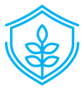 Shield with leafs color outline icon