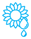 Sunflower oil color outline icon