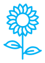 Sunflower color outline icon