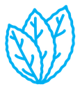 Tobacco leaves color outline icon