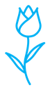 Tulip color outline icon