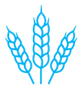 Wheat color outline icon