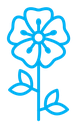 Wild rose color outline icon