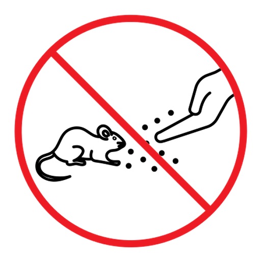Do not feed the animals sign color outline icon