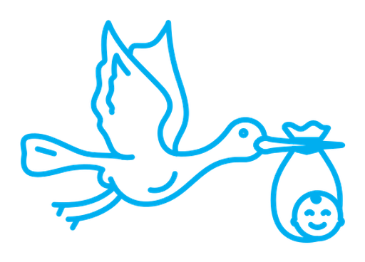 Stork with baby color outline icon