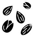 Dry fruit black filled icon