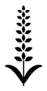 Lavender black filled icon