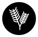 Pine branch black filled icon