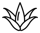 Aloe vera black outline icon
