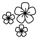 Araliya flower black outline icon