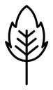 Birch leaf black outline icon