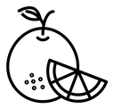 Citrus fruit black outline icon