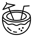 Coconut drink black outline icon