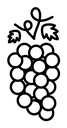 Grape black outline icon