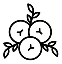 Juniper black outline icon