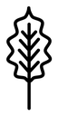 Oak leaf with veins black outline icon