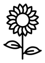Sunflower black outline icon